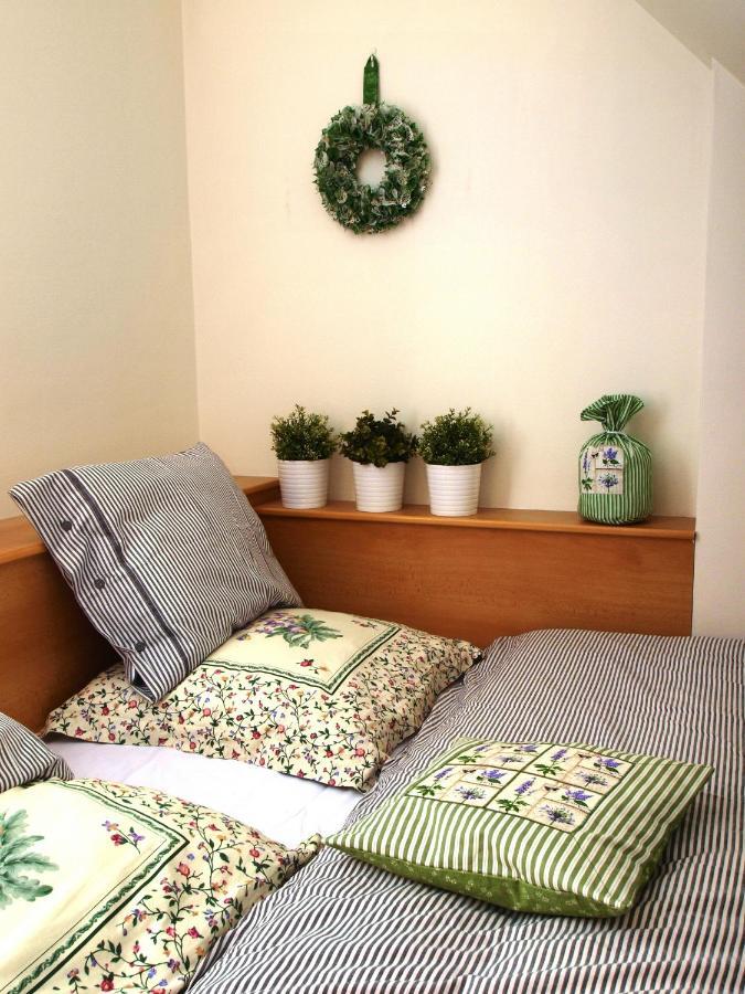 Apartman 6 U Sjezdovek Rokytnice nad Jizerou Exterior photo